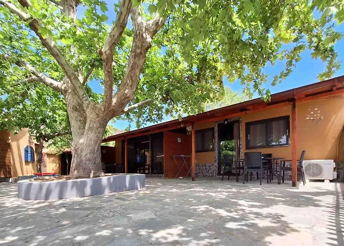 Platanes * Skala Marion