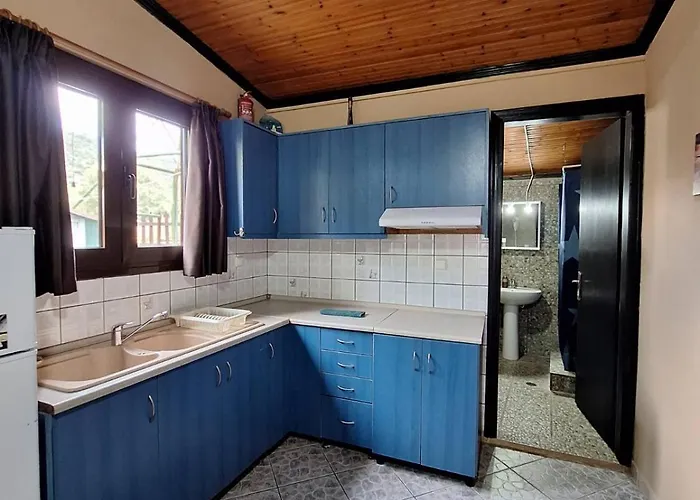 Platanes * Skala Marion